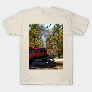 Train Ride T-Shirt